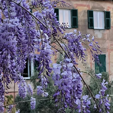 Alloggio in famiglia Sopra Il Parco A 2 Passi Dal Mare *