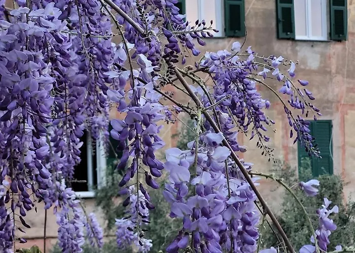 Homestay szállás Sopra Il Parco A 2 Passi Dal Mare *